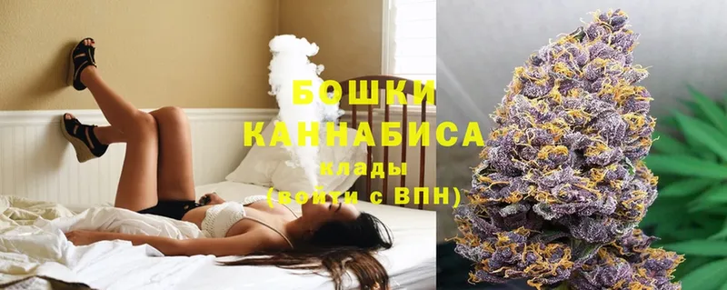 Конопля Ganja  Чехов 